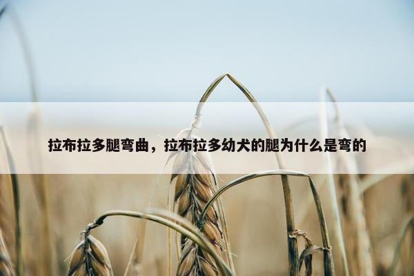 弯曲