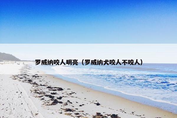 罗威纳咬人明亮（罗威纳犬咬人不咬人）