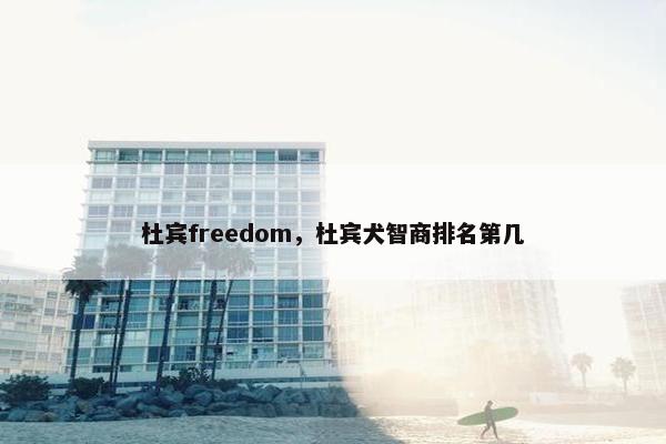 杜宾freedom，杜宾犬智商排名第几