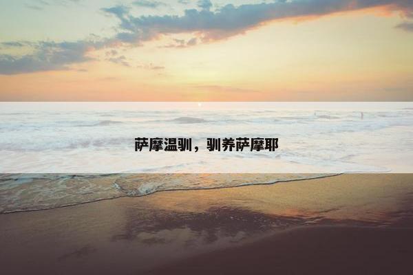 萨摩温驯，驯养萨摩耶