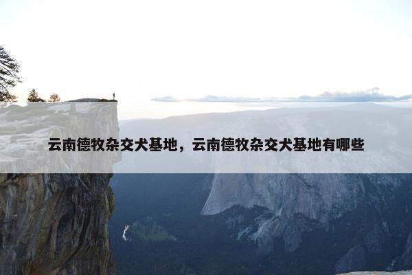 云南德牧杂交犬基地，云南德牧杂交犬基地有哪些