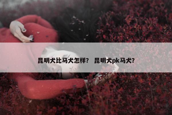昆明犬比马犬怎样？ 昆明犬pk马犬？