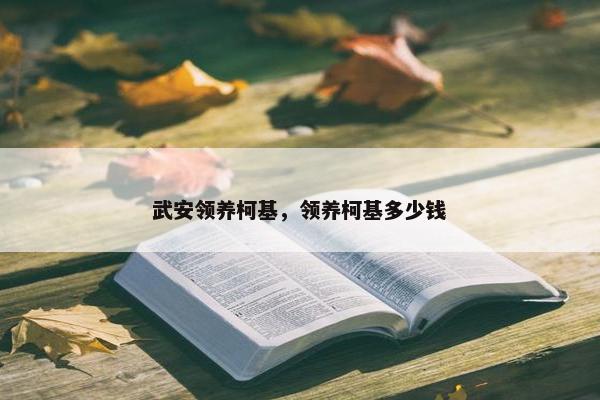武安领养柯基，领养柯基多少钱