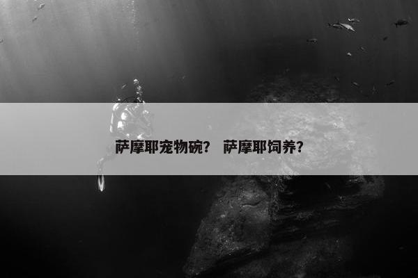 萨摩耶 第10页