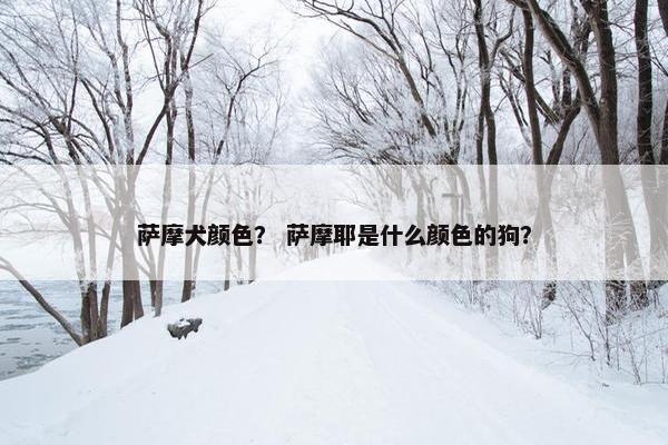 萨摩 第8页