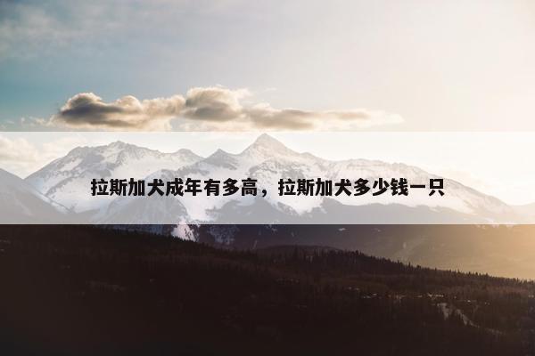拉斯加犬成年有多高，拉斯加犬多少钱一只