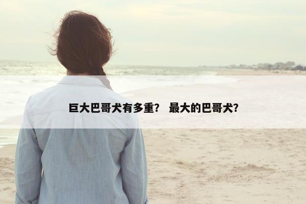 巨大巴哥犬有多重？ 最大的巴哥犬？