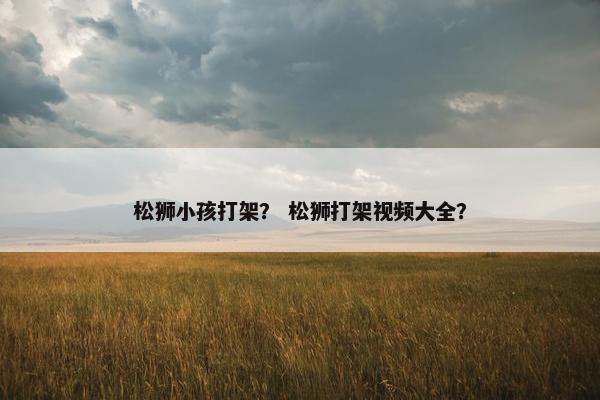 松狮小孩打架？ 松狮打架视频大全？