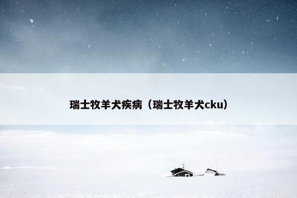 瑞士牧羊犬疾病（瑞士牧羊犬cku）