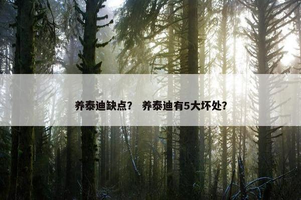 养泰迪缺点？ 养泰迪有5大坏处？