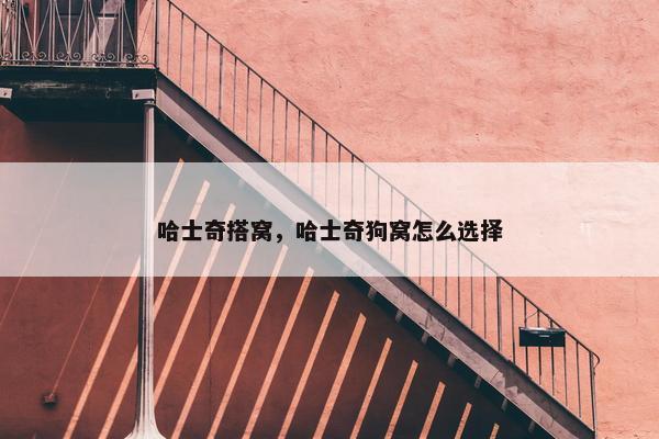 哈士奇 第10页