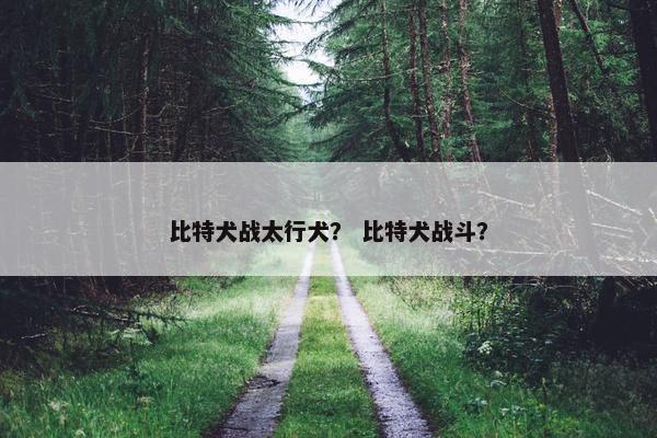比特犬战太行犬？ 比特犬战斗？