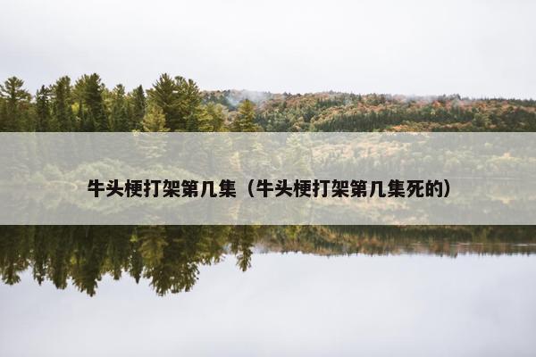 牛头梗打架第几集（牛头梗打架第几集死的）
