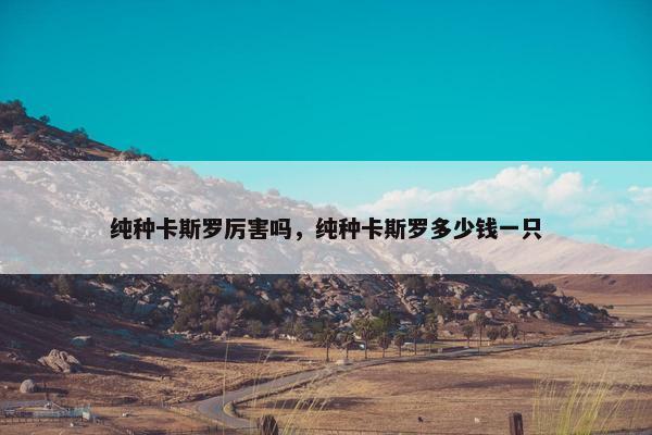 纯种卡斯罗厉害吗，纯种卡斯罗多少钱一只
