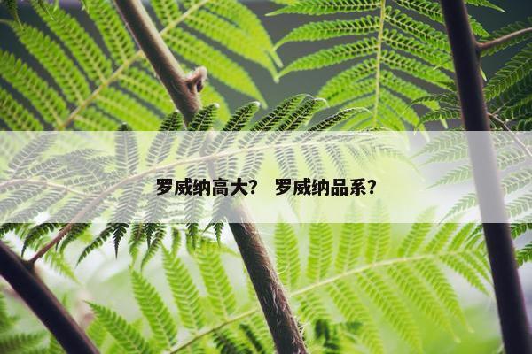 罗威纳高大？ 罗威纳品系？