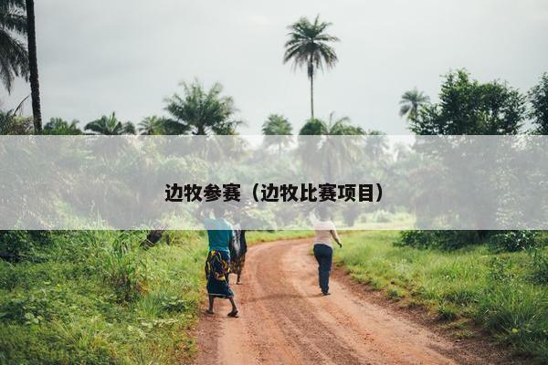 边牧参赛（边牧比赛项目）