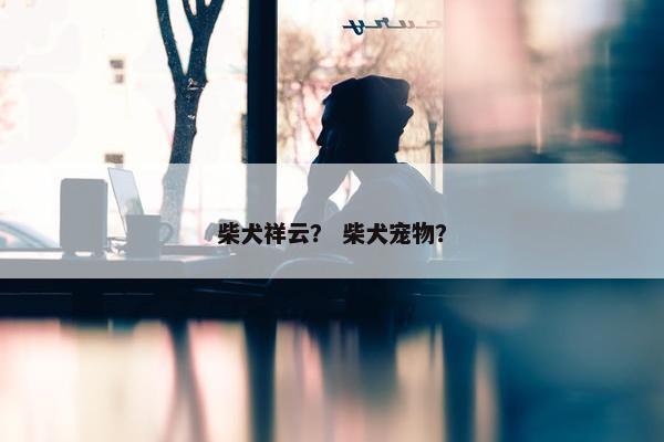 柴犬祥云？ 柴犬宠物？