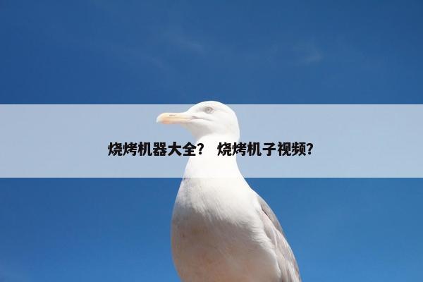 烧烤机器大全？ 烧烤机子视频？