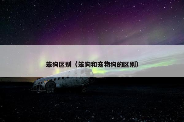 笨狗区别（笨狗和宠物狗的区别）