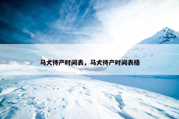 马犬待产时间表，马犬待产时间表格