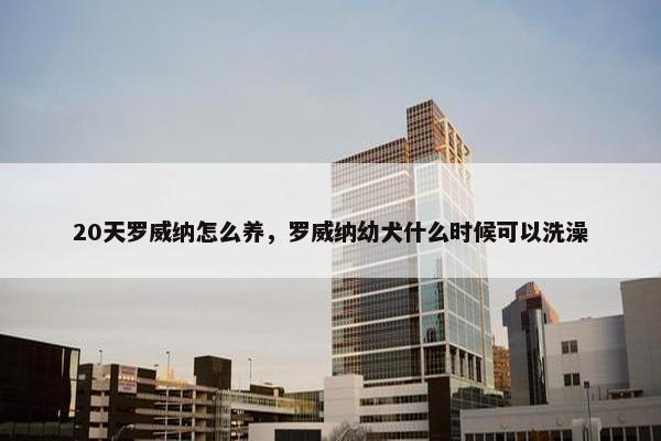20天罗威纳怎么养，罗威纳幼犬什么时候可以洗澡