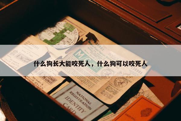 什么狗长大能咬死人，什么狗可以咬死人