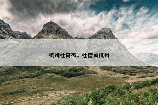杭州杜高杰，杜德勇杭州