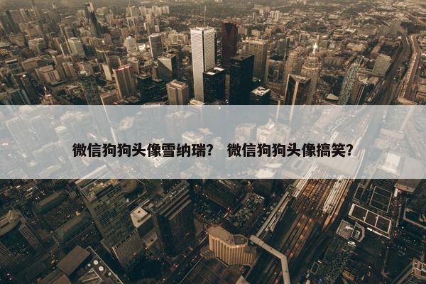 微信狗狗头像雪纳瑞？ 微信狗狗头像搞笑？