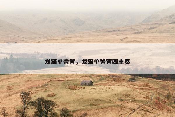 龙猫单簧管，龙猫单簧管四重奏