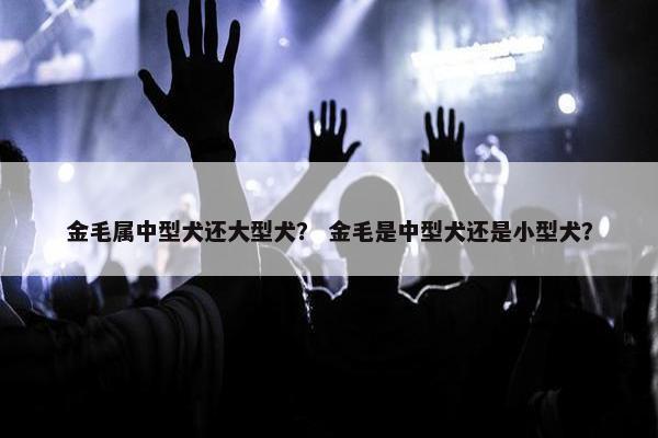 金毛属中型犬还大型犬？ 金毛是中型犬还是小型犬？