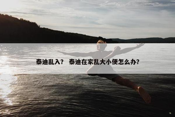 备注