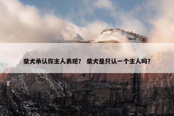 柴犬承认你主人表现？ 柴犬是只认一个主人吗？
