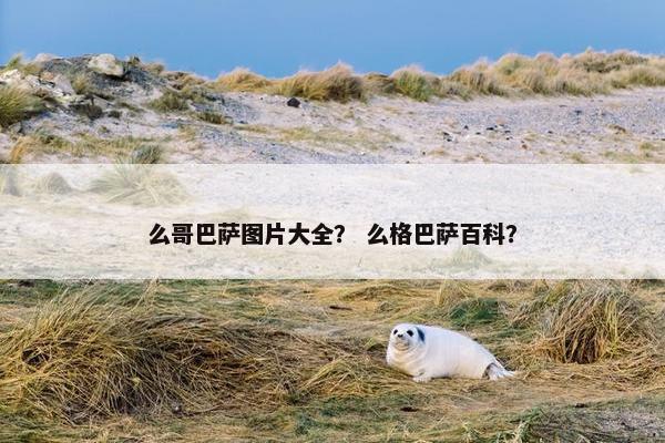 么哥巴萨图片大全？ 么格巴萨百科？