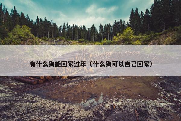 有什么狗能回家过年（什么狗可以自己回家）