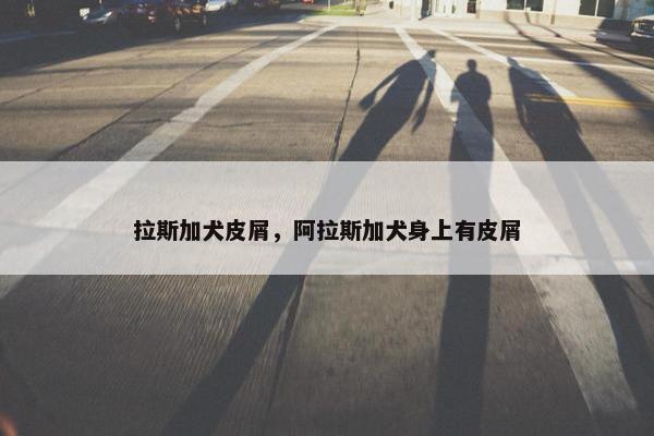 拉斯加犬皮屑，阿拉斯加犬身上有皮屑