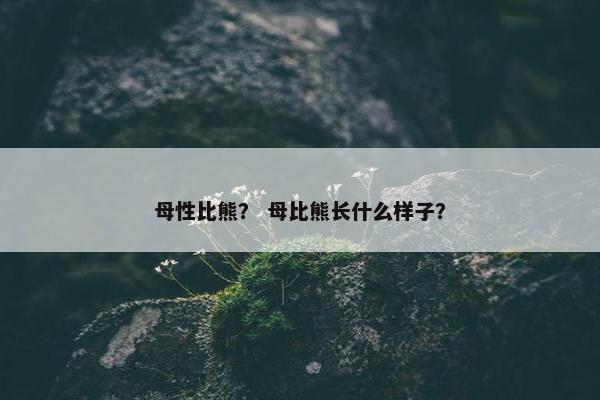 母性比熊？ 母比熊长什么样子？
