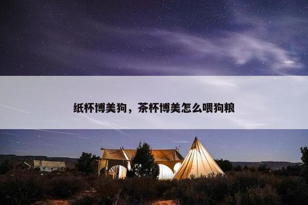纸杯博美狗，茶杯博美怎么喂狗粮