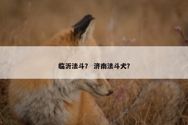 法斗 第9页