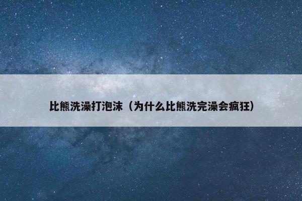 比熊洗澡打泡沫（为什么比熊洗完澡会疯狂）
