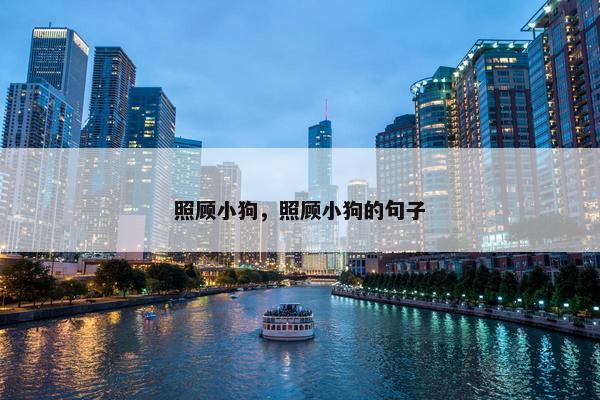 照顾小狗，照顾小狗的句子
