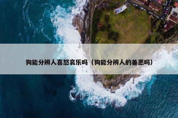 狗能分辨人喜怒哀乐吗（狗能分辨人的善恶吗）