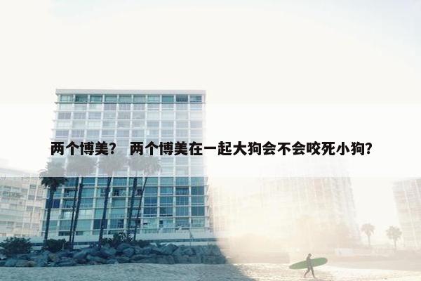 两个博美？ 两个博美在一起大狗会不会咬死小狗？