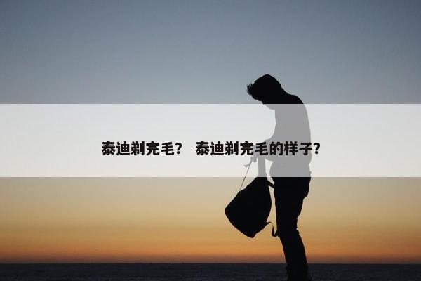 泰迪剃完毛？ 泰迪剃完毛的样子？