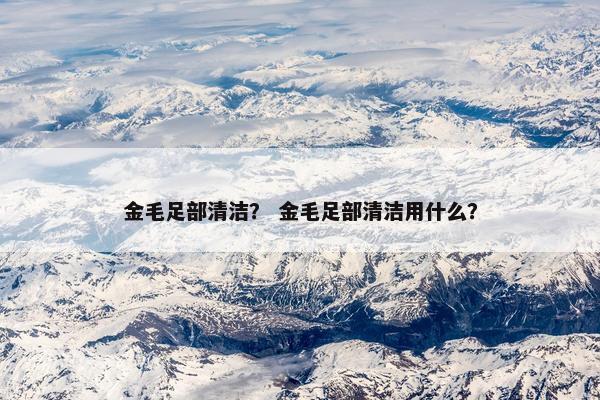 金毛足部清洁？ 金毛足部清洁用什么？