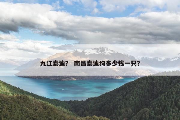 九江泰迪？ 南昌泰迪狗多少钱一只？