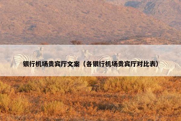 银行机场贵宾厅文案（各银行机场贵宾厅对比表）