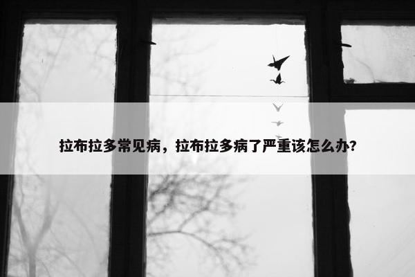 拉布拉多常见病，拉布拉多病了严重该怎么办?