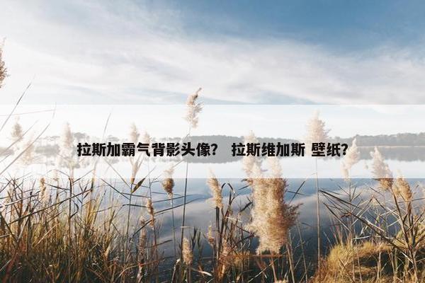 拉斯加霸气背影头像？ 拉斯维加斯 壁纸？