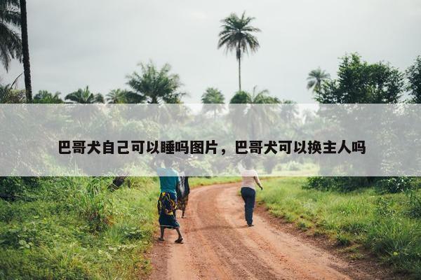 巴哥犬自己可以睡吗图片，巴哥犬可以换主人吗