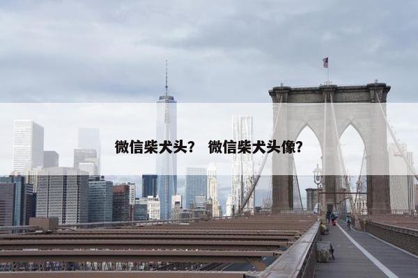 微信柴犬头？ 微信柴犬头像？